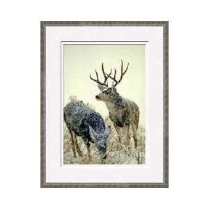  Mule Deer Buck Watches Over His Doe Framed Giclee Print 