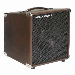   Acoustic Guitar Speaker Cabinet (Brown Straight) Musical Instruments