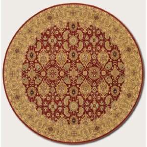   Area Rug Classic Persian Pattern in Persian Red Furniture & Decor