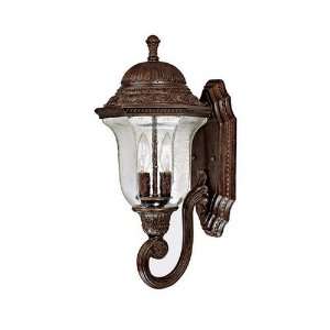  Capital Lighting Outdoor 9792 2 Lamp Outdoor Wall Lantern 