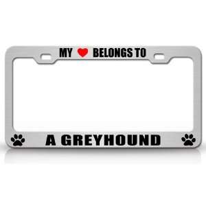 MY HEART BELONGS TO A GREYHOUND Dog Pet Steel Metal Auto License Plate 