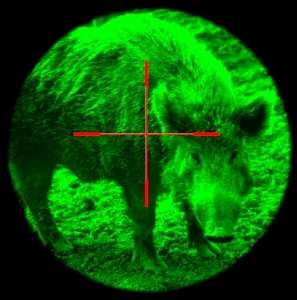 Deer Feeder Hog Light Wildlife Night Hunting Boar Lite HogLight 