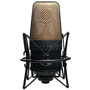  CAD E 300 Multi Pattern Condenser Microphone Musical 