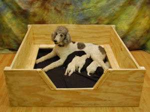 Whelping Box 5x4 XLARGE w/ RAILS Dog,Puppy,Pen,Free S&H  