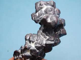 UNIQUE Hematite after Marcasite Crystal, EGYPT HM106  