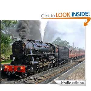 RAILROAD SCHEMES AND LILY NEVADA Cecelia Holland  Kindle 