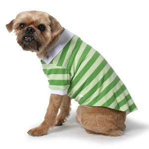  Green Stripe Polo Dog Shirt L 