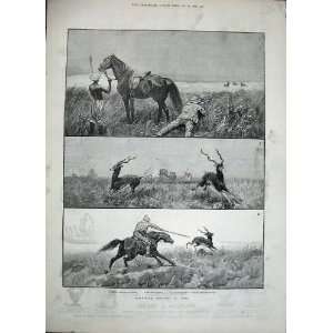  1888 Black Buck Shooting India Men Horse Sport Animals 