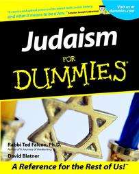 Judaism for Dummies (Paperback)  