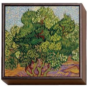 Vincent van Gogh Olive Trees Framed Print 