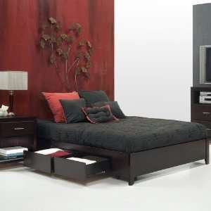 Modus Nevis Riva Platform Storage Bed in Espresso   Twin  
