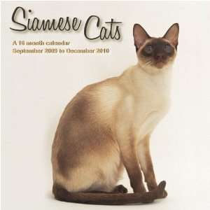 Siamese Cats 2010 Wall Calendar