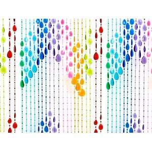  Multi colored Beaded Curtains