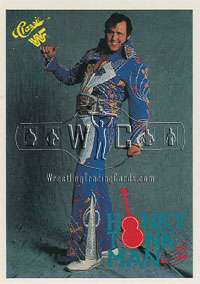 1990 CLASSIC WWF 145 CARD WRESTLING SET   HULK HOGAN  