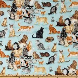  44 Wide Cat Scatter Aqua Fabric By The Yard Arts 
