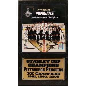    2009 Pittsburgh Penguins 12x15 Statistic Plaque