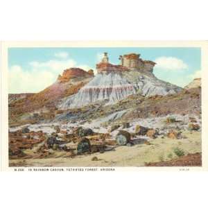   Vintage Postcard Rainbow Canyon in the Petrified Forest   Arizona