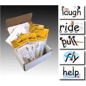  306 SnapWords™ Pocket Chart sized sight word cards 