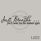 JUST BREATHE YOULL NEVER LIVE THIS MOMENT AGAIN WALL
