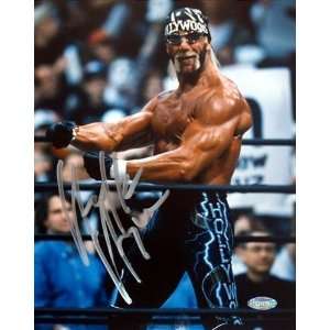 Hulk Hogan Signed Hollywood Flexing 16x20 Wrestling Wwe W 
