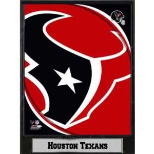 2011 Houston Texans 9x12 Logo Plaque Case Pack 14 Sports 
