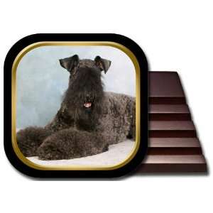 Kerry Blue Terrier Coaster Set