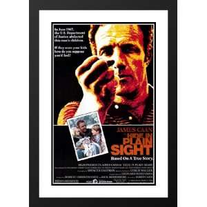  Hide in Plain Sight 32x45 Framed and Double Matted Movie 