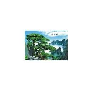  Poster of Plastic Hard Cardboard Welcome You by Pine Tree Means 