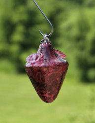 CRANBERRY RED Blown Glass Hummingbird Feeder Bird Brain  