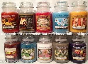 Yankee Candle SCENT CHOICE 22 oz large jar 1 wick fall holiday FREE 