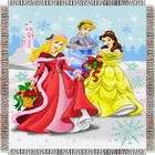   Princess Dreamy Christmas Holiday 48x60 Metallic Tapestry Throw