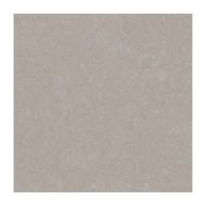   Wallcoverings PX8911 Color Expressions Texture Wallpaper, Warm Grey