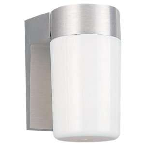   Light Outdoor Wall Lantern with White Plastic Diffuser, Satin Aluminum