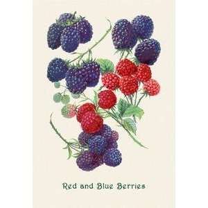  Vintage Art Red and Blue Berries   04174 9