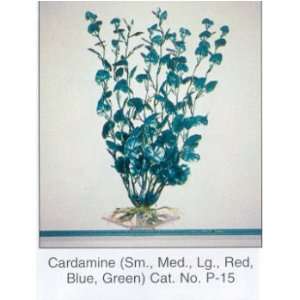 CARDAMINE PLANT   BLUE PEARL 