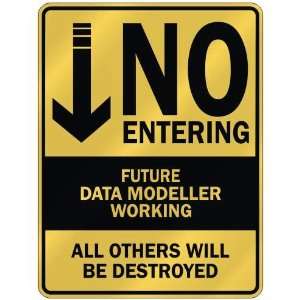   NO ENTERING FUTURE DATA MODELLER WORKING  PARKING SIGN 