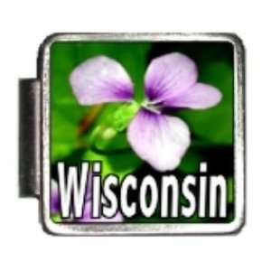  Wisconsin State Flower Wood Violet Photo Italian Charm 