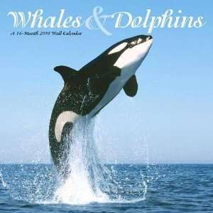  Whales & Dolphins 2010 Wall Calendar