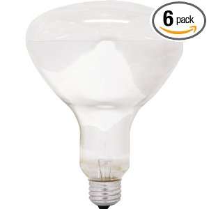  GE 24998 65 Watt 450 Lumen R40 Indoor Reflector Floodlight Bulb 