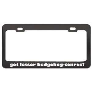 Got Lesser Hedgehog Tenrec? Animals Pets Black Metal License Plate 