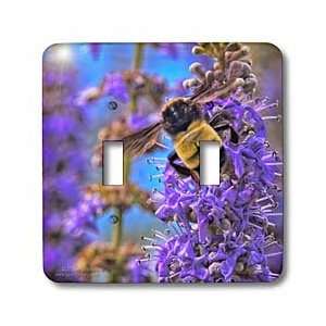  Amy Dyckovsky Roadside Collection   Bumble Bee on Purple 