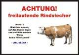  PEMA Achtung / Fun Schild Kalb, Kuh, Kühe, Rind Türschild 