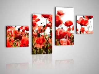 XXL Bild 4 Teiler 175x110cm Roter Mohn Blumen Motiv Kunstdruck 
