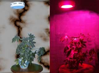 UFO 90 Watt LED Pflanzenlampe Pflanzen Licht lampe 4250618417189 