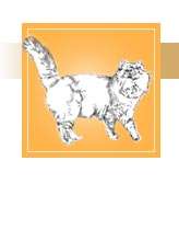 Royal Canin Sensitive Vet Cat Katzenfutter 9,5 kg  