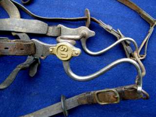 Cavalry Officers Headstall, Complete (98 A)  
