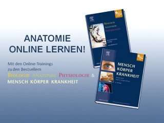 Online Training zu Biologie Anatomie Physiologie & Mensch Körper 
