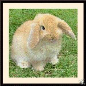 Mini Lop Rabbit, Cross Stitch Kit  