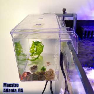   HOB Refugium / Breeder Box + Light + Air Pump (shrimp breeding)  