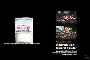 Shirakura Mineral   Crystal Caridina Red Bee Shrimp CRS  